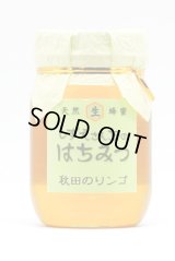 秋田のりんご　500ｇ