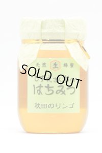 秋田のりんご　500ｇ