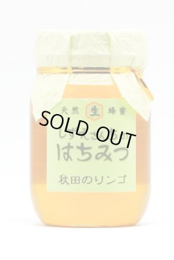 画像1: 秋田のりんご　500ｇ