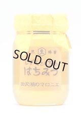 田沢湖のマロニエ　500ｇ