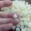 画像2: 国産蜜ろう　ビーワックス　100ｇ (2)