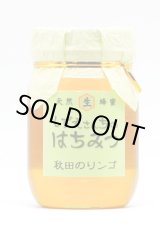 画像: 秋田のりんご　500ｇ